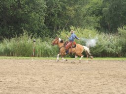 IMG_1516_web